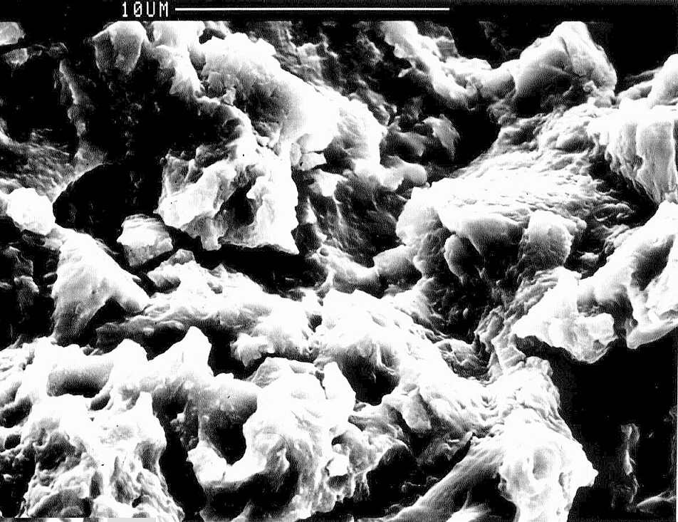 Cavitation damage in the centre of the specimen