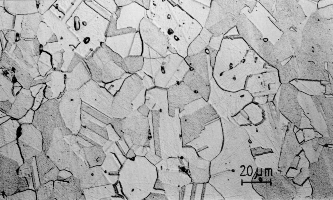 Microstructure in the centre of the specimen (112548 bytes)