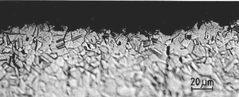 The cavitated edge at higher magnification