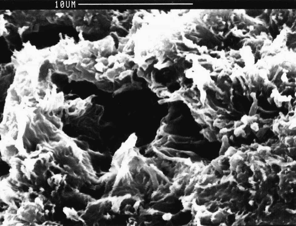 Cavitation damage in the centre of the specimen