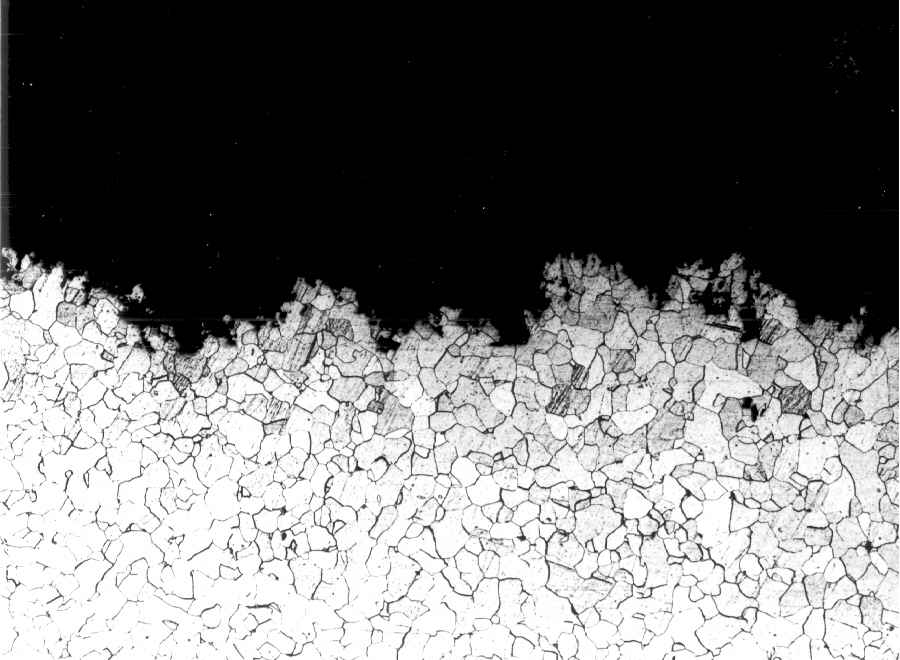 eroded edge in the central area (magnification: x 100)