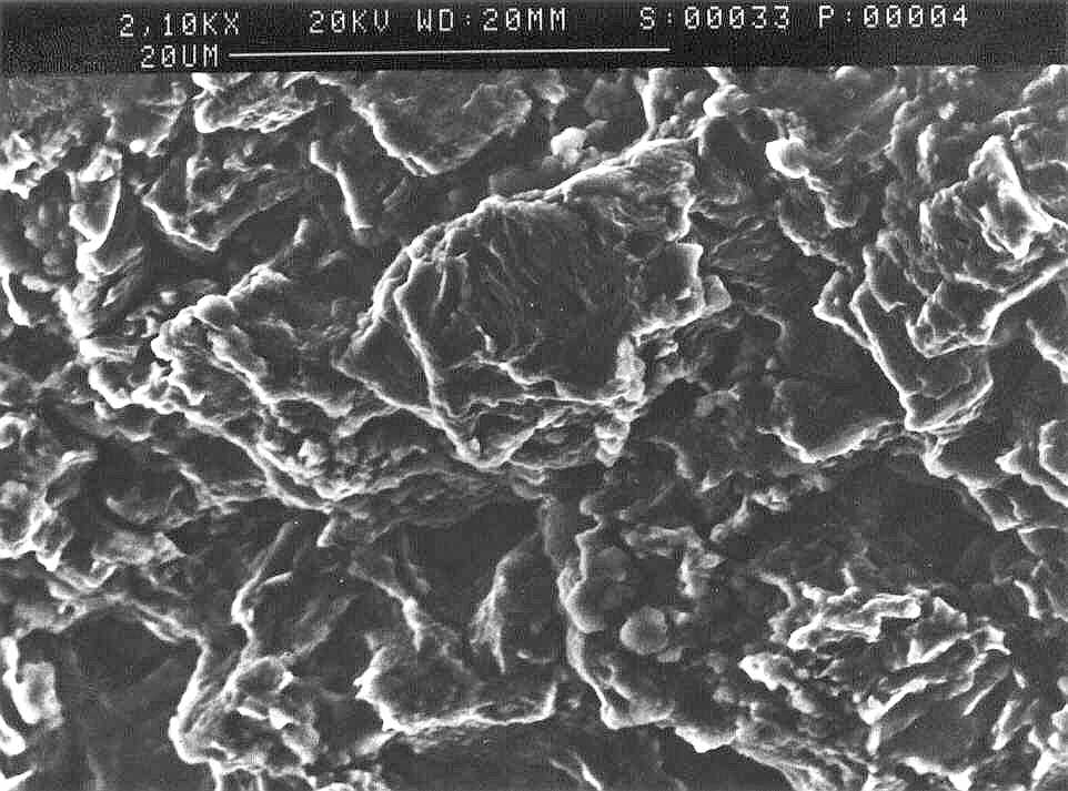 detail view of eroded grain (SEM)