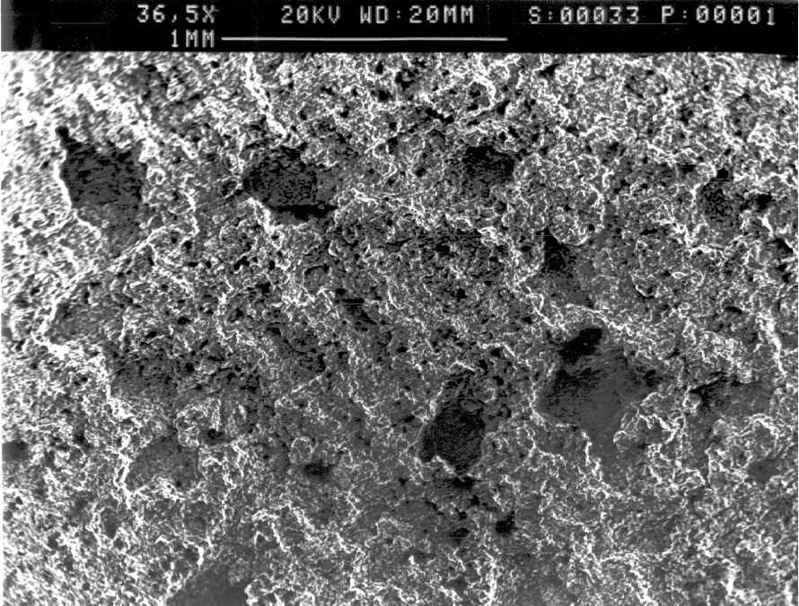 general view (SEM)