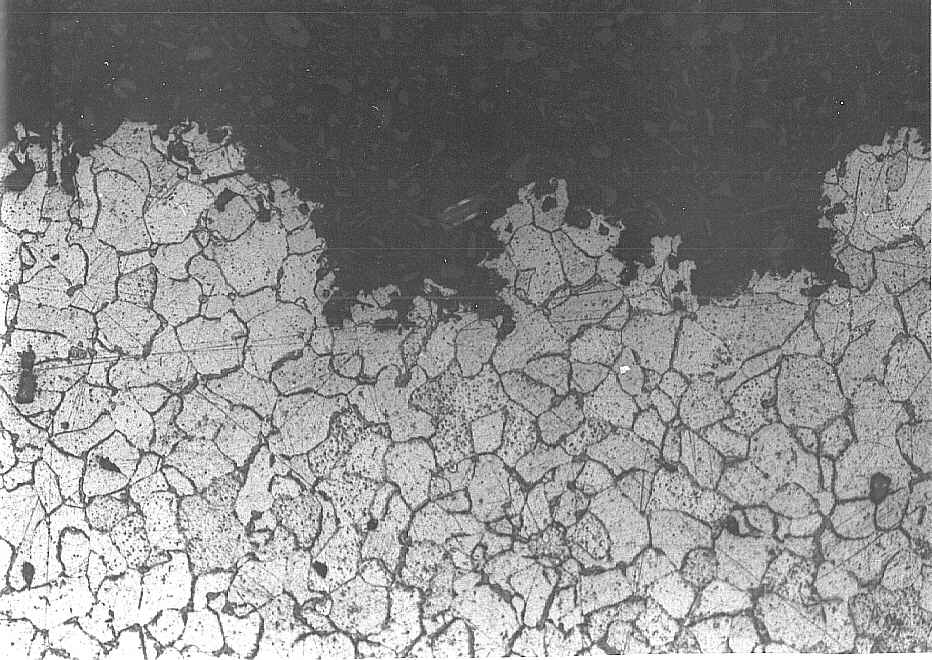 pits in the central area (magnification: x 200)