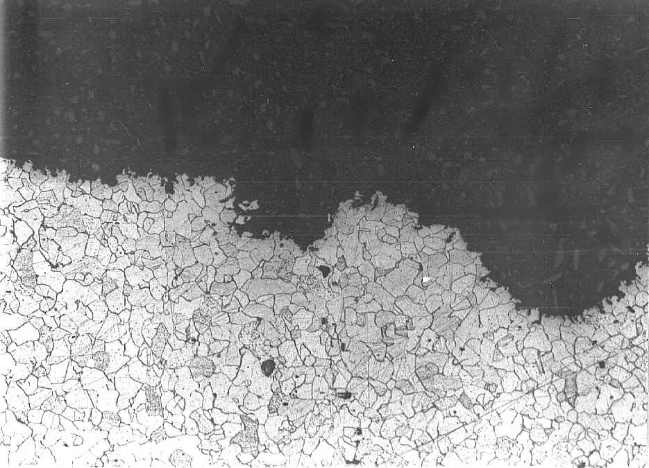 detail of edge pit (magnification: x 100; optical microscopy)