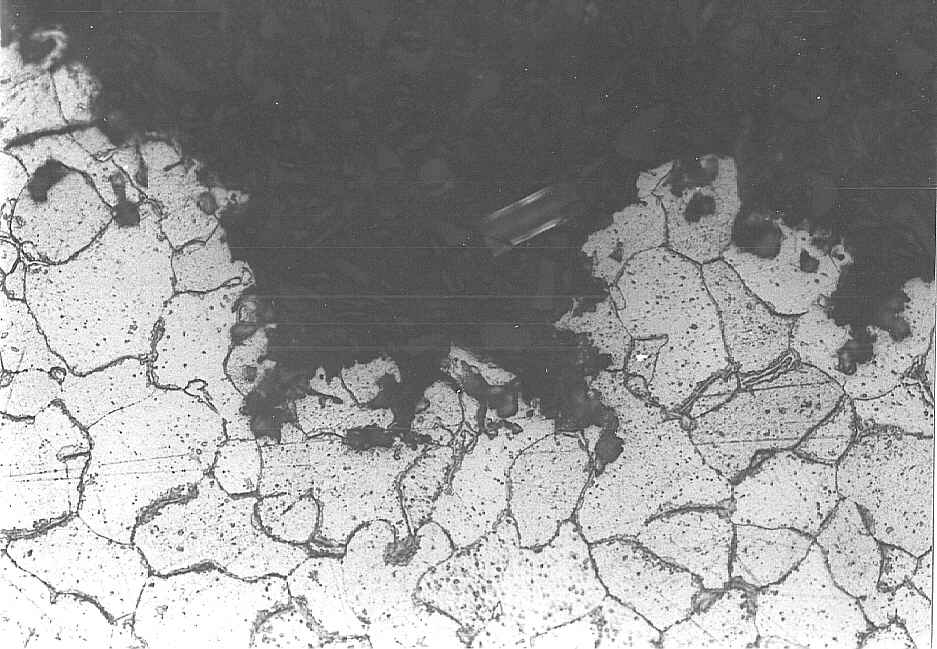 pits in the central area (magnification: x 400)