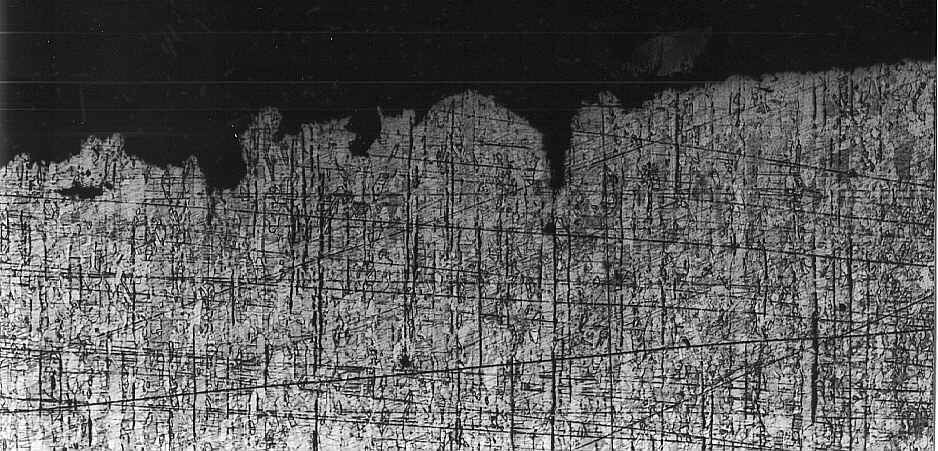 edge of the eroded area (magnification: x 50; optical microscopy)