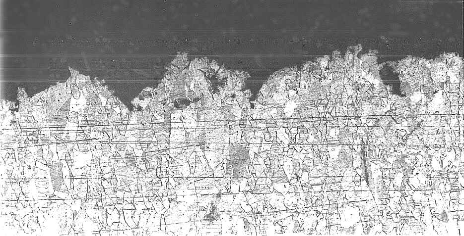 detail of the central area (magnification: x 100)