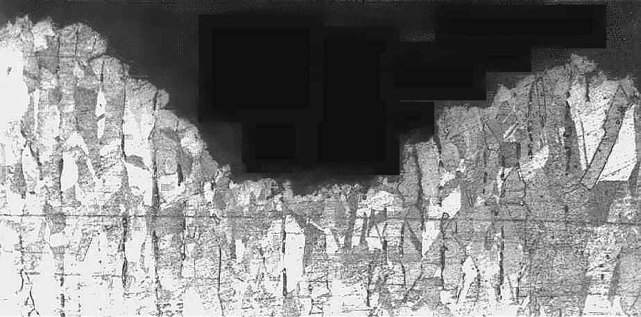 pit detail in the central area (magnification: x 200)
